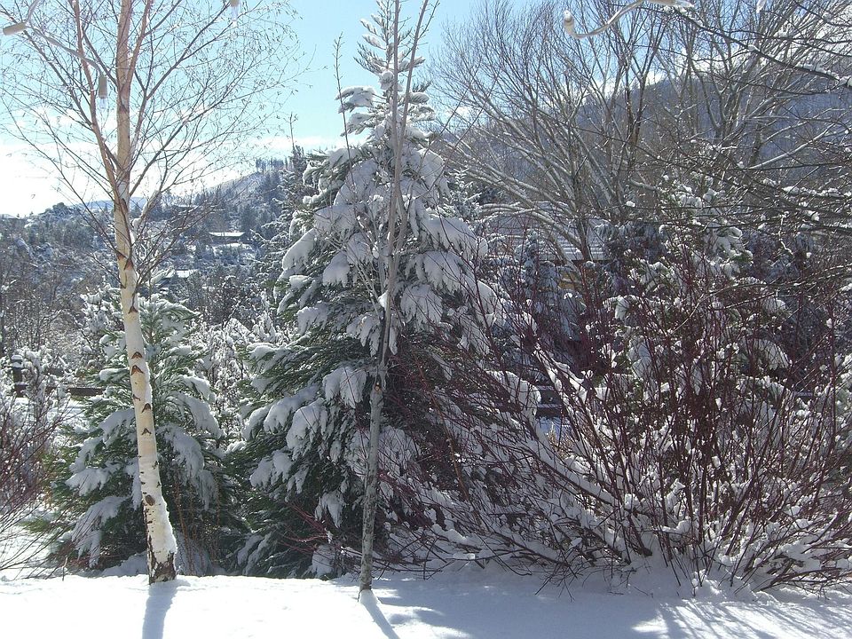 winter at 6 wild sage cir