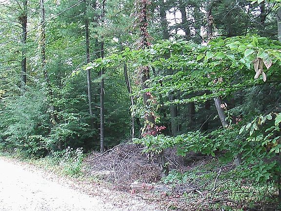 Ewan Ct septic field right