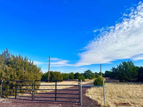 28 County Road 8021, Concho, AZ 85924