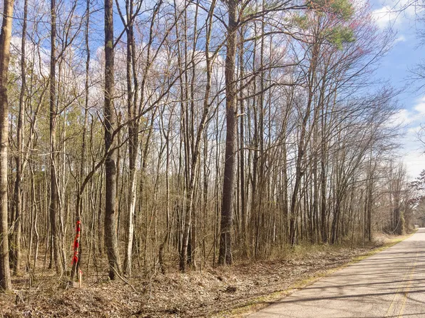 0 Damon Rd Lot 5, Michie, TN 38357