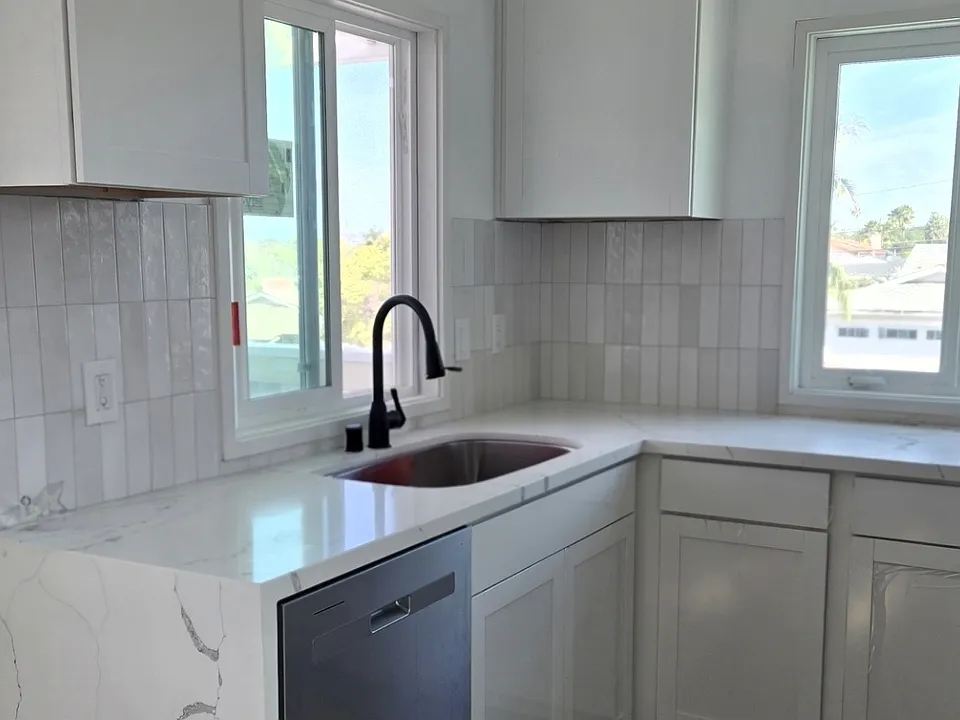 Sink & Dishwasher