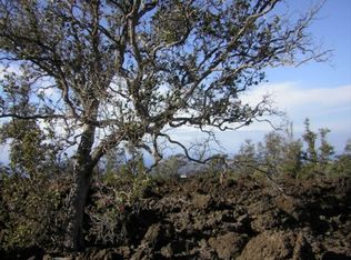 Alii Blvd LOT 4, Captain Cook, HI 96704