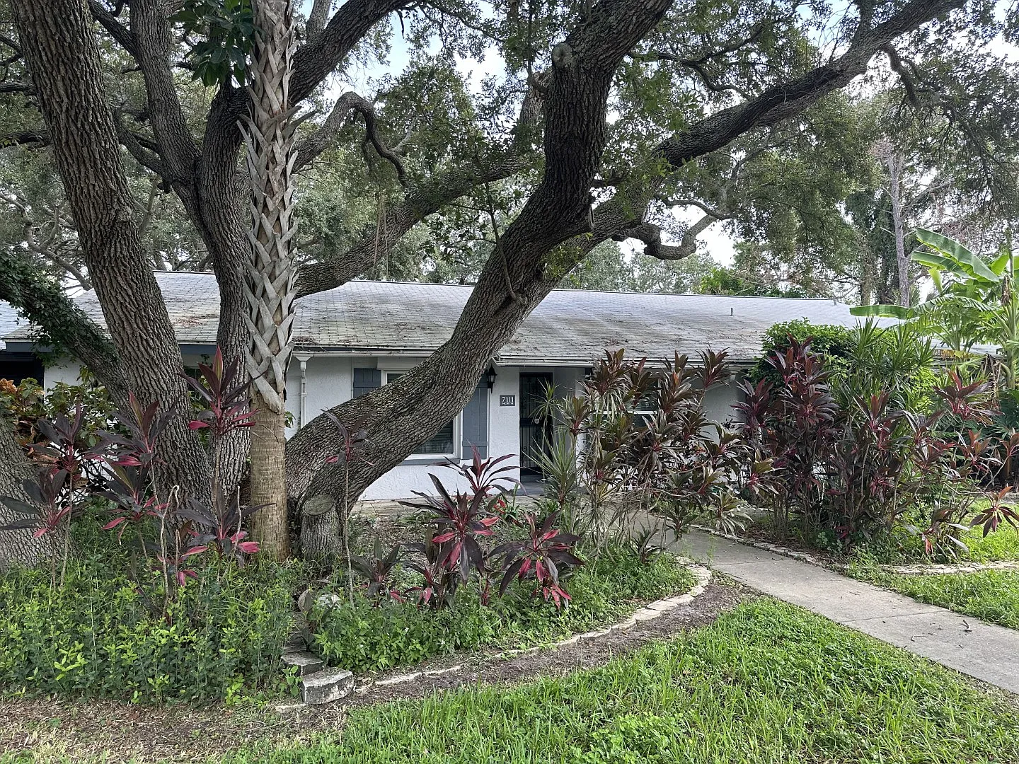 2 bed, 956 sqft, $1,750 — Photo 2
