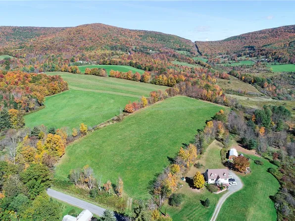 32 Tower Mountain Rd, Stamford, NY 12167