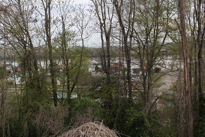 2nd image of 306 Poplar St