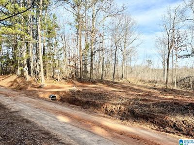 0 County Road 700 #B, Roanoke, AL, 36274