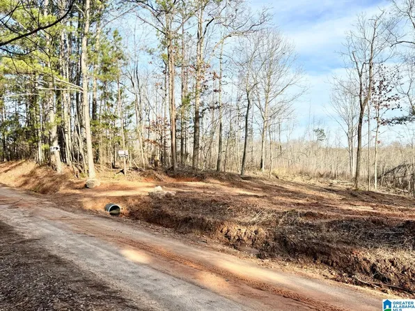 0 County Road 700 #B, Roanoke, AL 36274