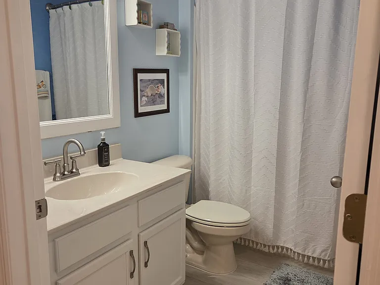 Main bathroom with tub/shower