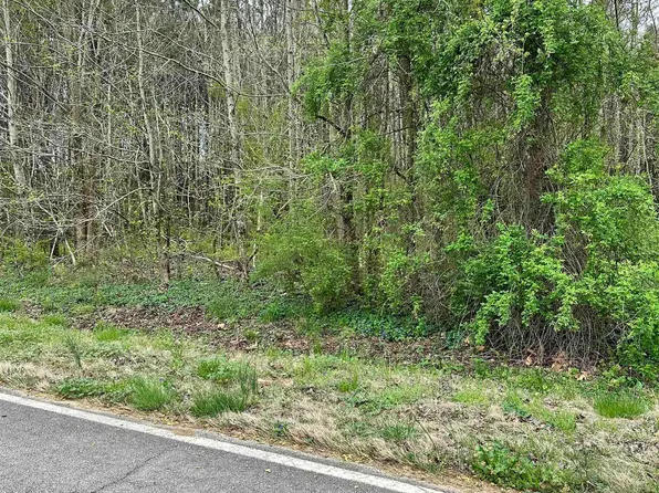 LOT 13 W Limestone School Rd, Lester, AL 35647