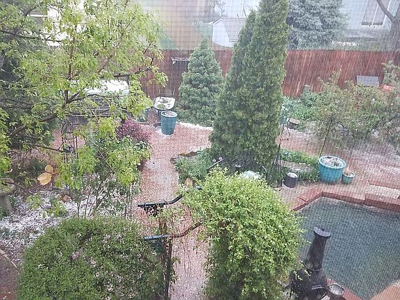 Backyard Landscaping