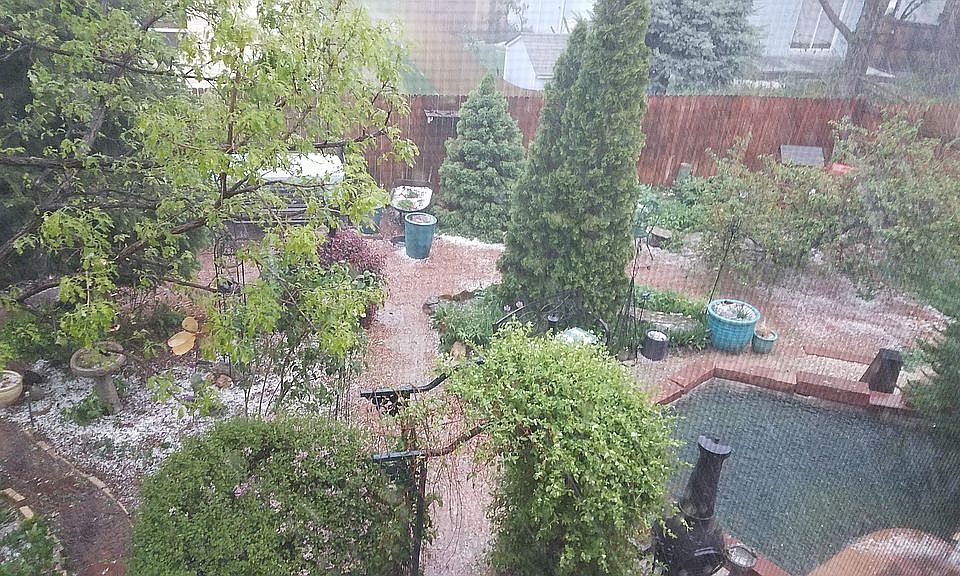 Backyard Landscaping