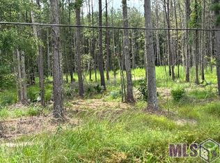 14373 Springfield Rd, Walker, LA 70785