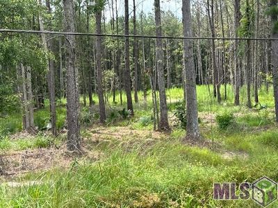 14363 Springfield Rd, Walker, LA, 70785