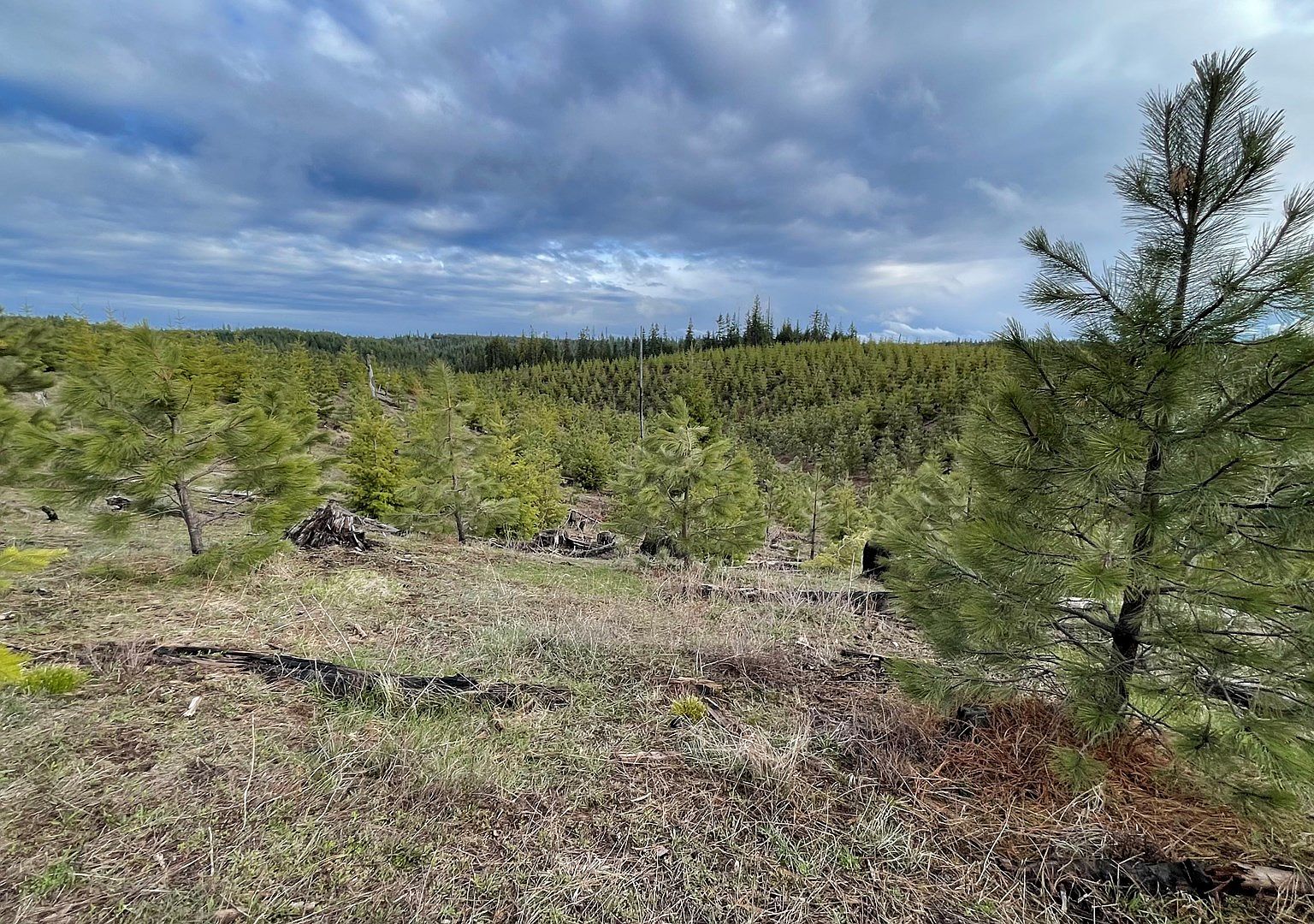 PARCEL Four Badger Ridge Dr, Grangeville, ID 83530 Zillow