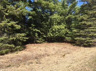 3844 Pointe Dr, Carp Lake, MI 49718