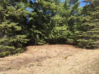 3844 Pointe Dr, Carp Lake, MI, 49718