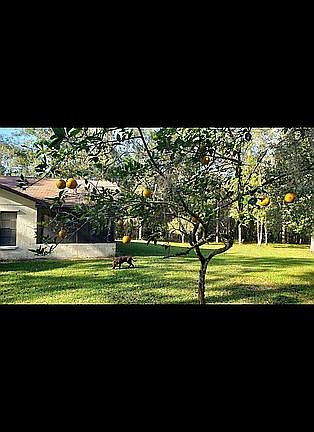 2nd image of 3443 Rackley Rd