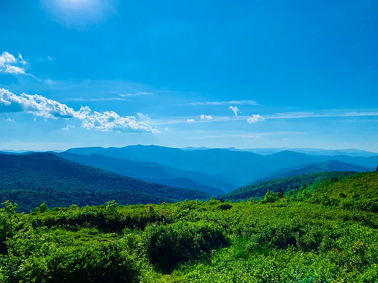 Black Balsam
Some of the best mountain ridge views an easy drive away