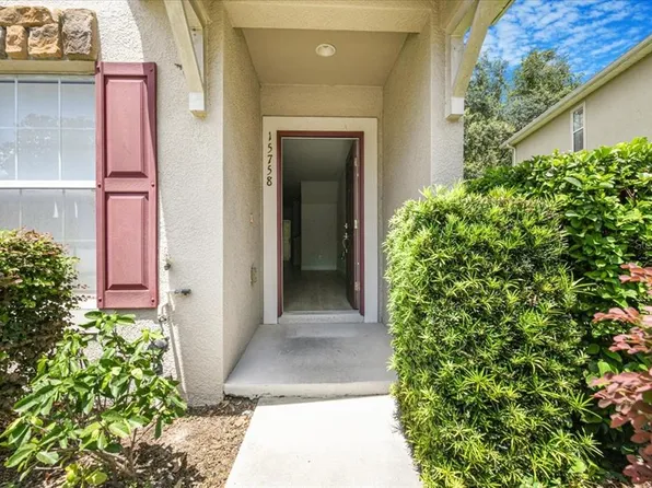 15758 Fishhawk Falls Dr, Lithia, FL 33547