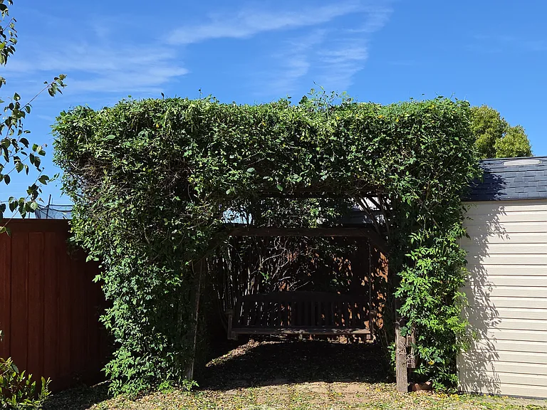 3930 Sophia St — Photo 22
