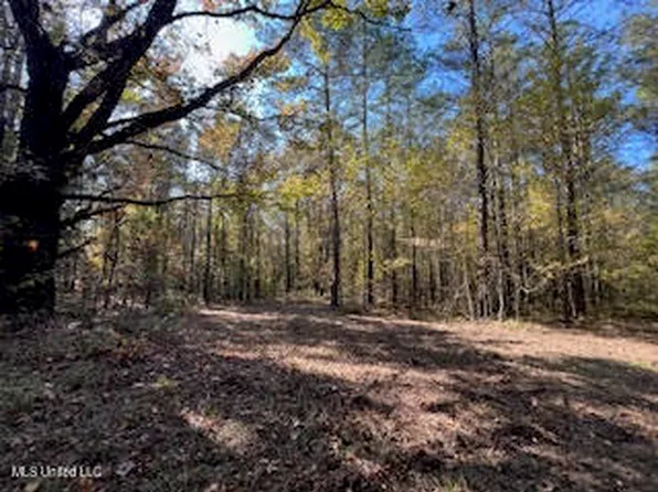 Perry Chapel Rd, Ashland, MS 38603