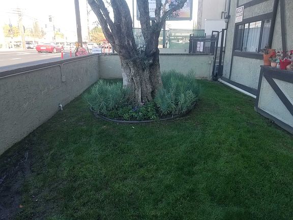 4th image of 11028 Moorpark St #221