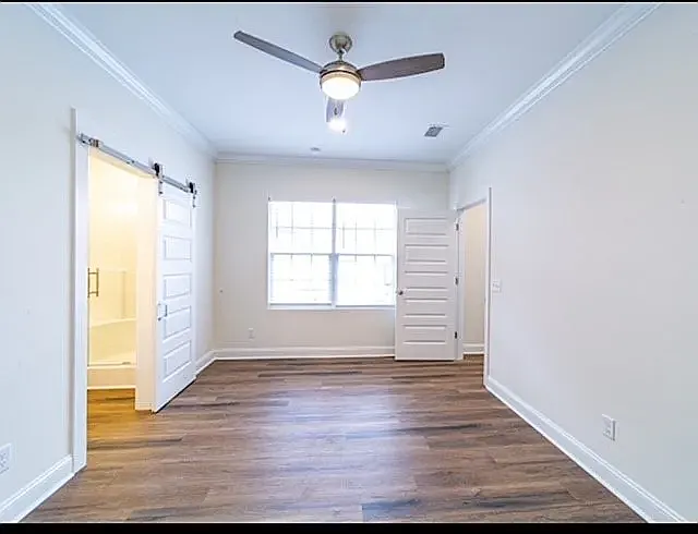 317 Palmetto St — Photo 10