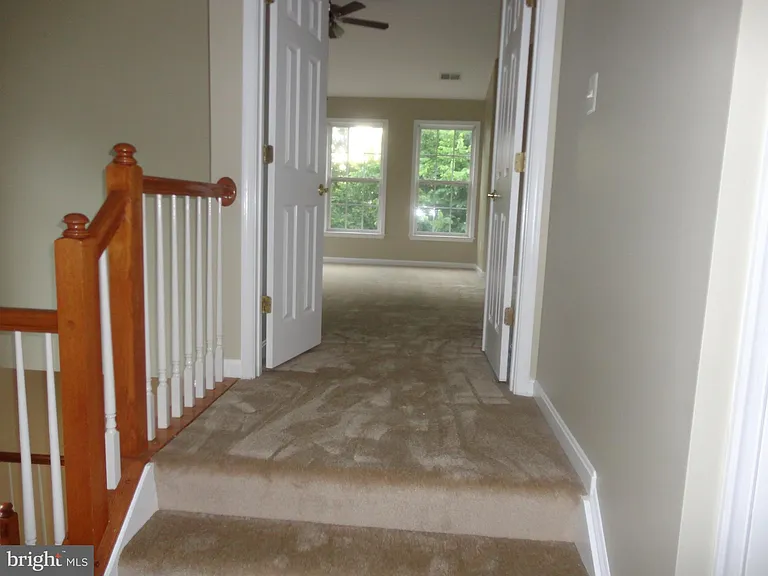 24753 Carbonate Ter — Photo 22