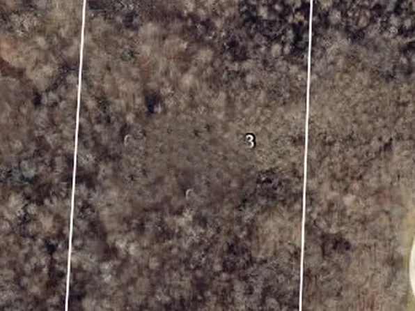 Zane Rd, Lore City, OH 43755