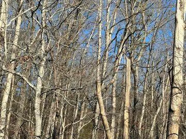 2 Lower River Rd NW Lot 2, Charleston, TN 37310