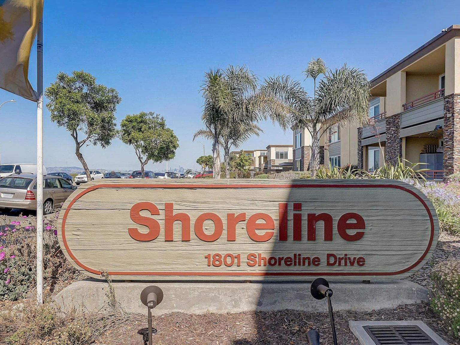 Shoreline — Photo 4