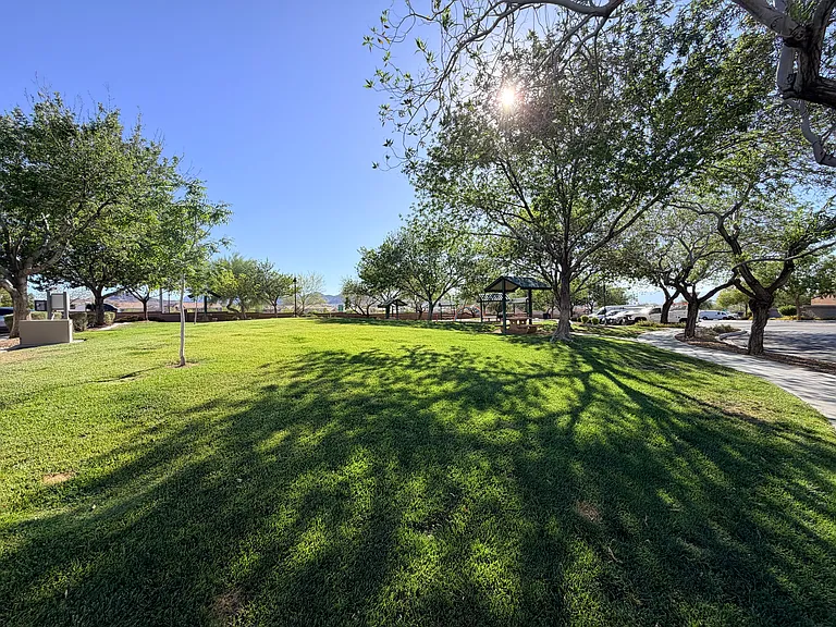 2561 Land Rush Dr — Photo 12