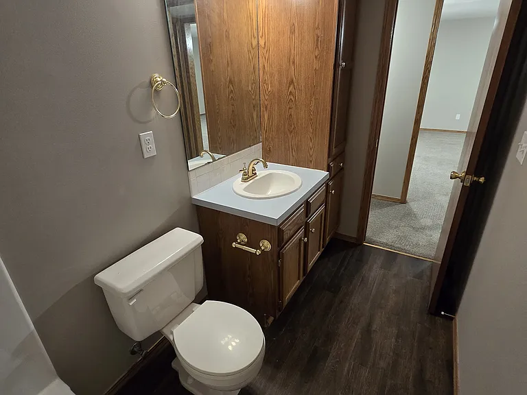 Basement Bathroom