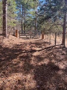 3774 Us Highway 79 W, Jacksonville, TX, 75766