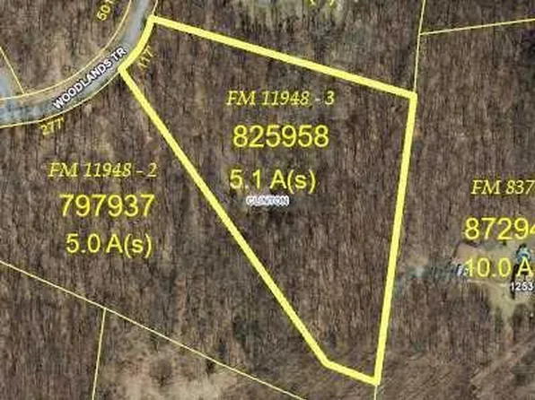 WOODLANDS Trail, Clinton Corners, NY 12514