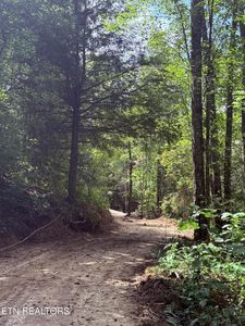 1055 Big Four Rd, La Follette, TN, 37766