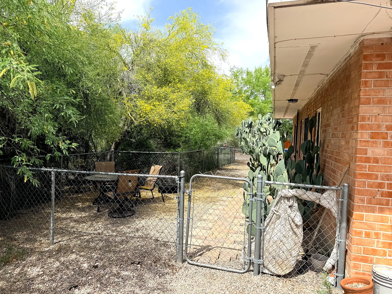 1 bed, 655 sqft, $1,325 — Photo 3