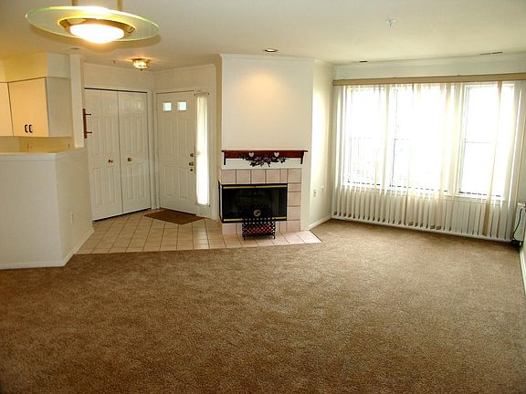 Fireplace- Living/Dining