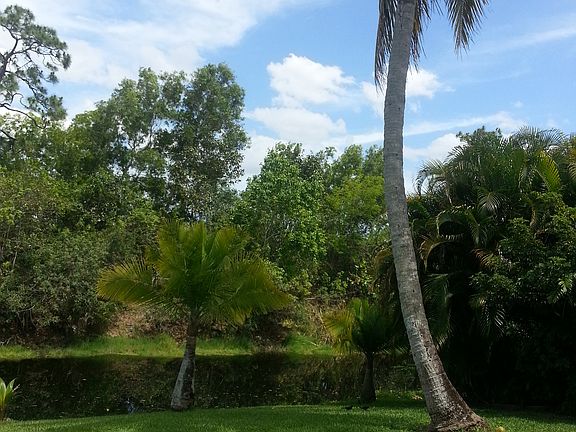 Large, private backyard