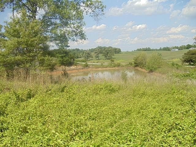 1st image of 4489 Salt River Rd