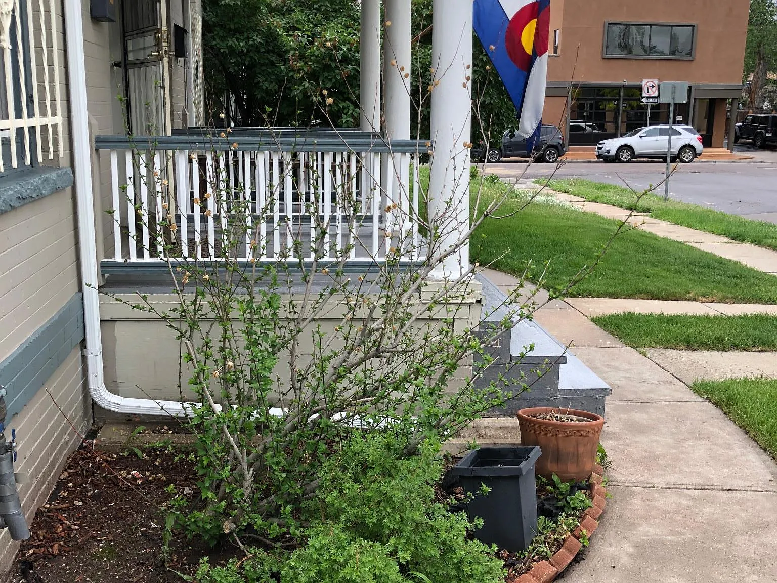 2 bed, 800 sqft, $1,850 — Photo 2