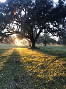 CR 311, Bushnell, FL, 33513