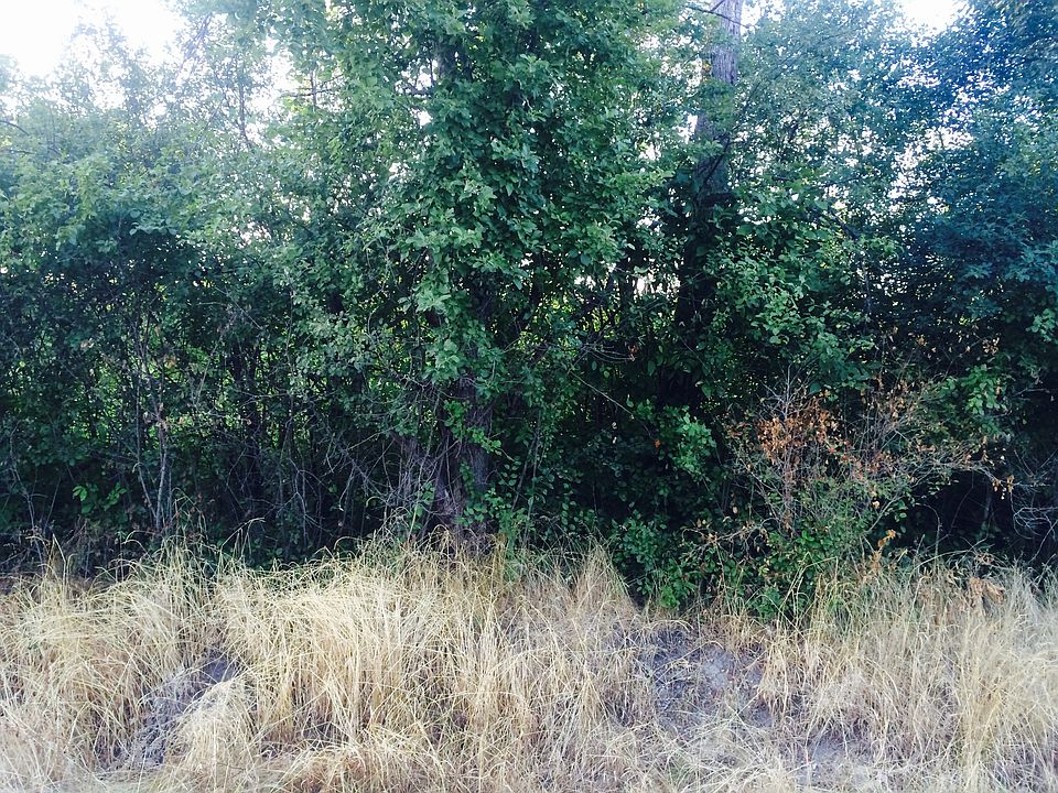 2nd image of 7400-2 McCarty