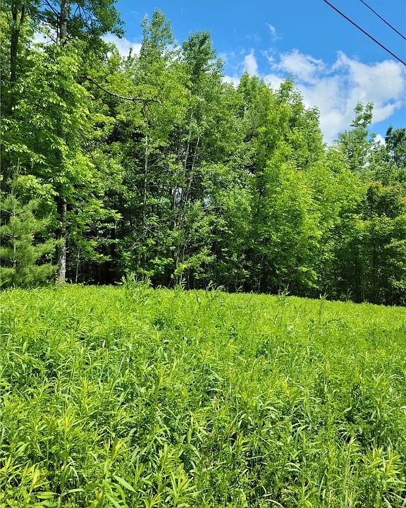 LOT 5 County Road 13 New Berlin NY Zillow