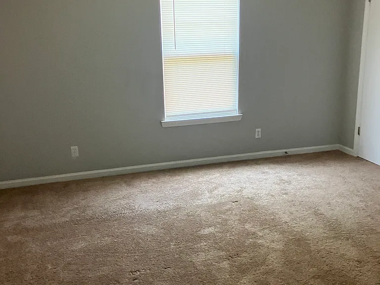 307 Lilly Ln — Photo 6