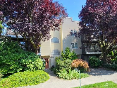 8812 Stone Avenue N #203, Seattle, WA, 98103