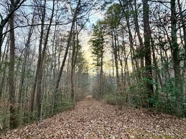 1 Wildwood Way, Sevierville, TN 37876