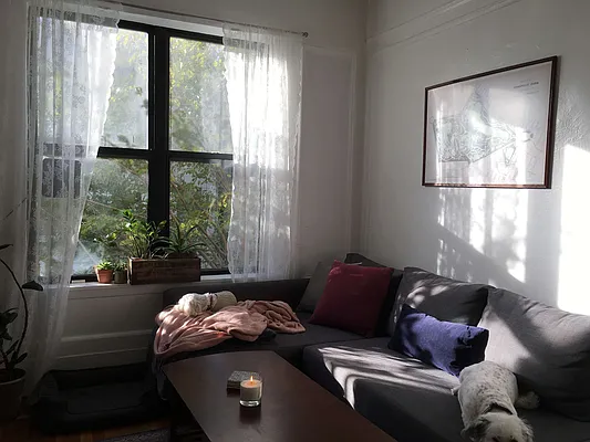 Rented by Owner | media 10