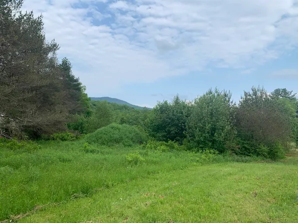 VT Route 118 #2C, Belvidere, VT 05442