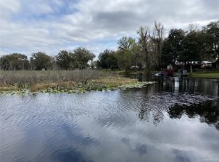 5915 N Tsala Apopka Dr, Hernando, FL 34442